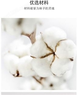 CaldiceKris简约白色纯棉船袜（5双装）CK-FS1016