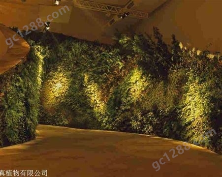 西安仿真绿植墙 植被墙施工 金森