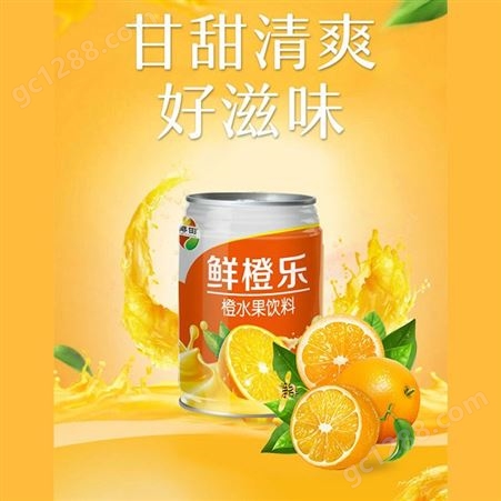 鲜橙乐橙水果饮料240ml易拉罐装果汁饮料商超渠道