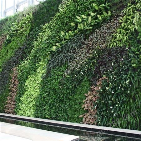 西安仿真绿植墙 植被墙施工 金森