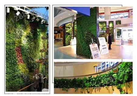 绿植墙 绿植墙制作 花卉绿植公司 免费设计
