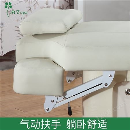 广州美藤电动美容床工厂直销可定制美容院VIP 美容床按摩床MD-8610A