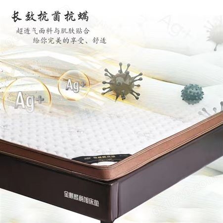 天然乳胶 高密高弹海绵 环保3D椰梦维棕 独立弹簧床垫
