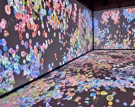 全息3d投影 沉浸式艺术展 展厅墙面互动投影