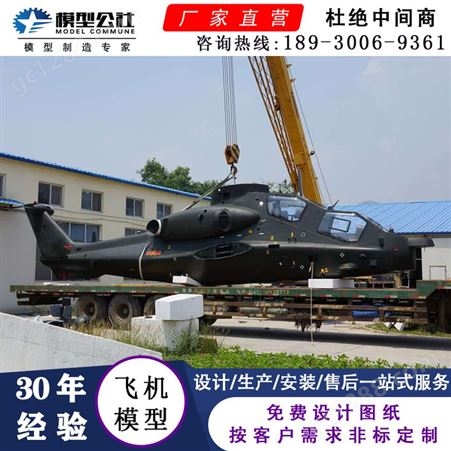 霖立 大型航空模型直升机模型动态飞机模型制作厂家