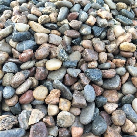 佳奥铺路小石子黑色鹅卵石 庭院造景雨花石 河滩石头天然