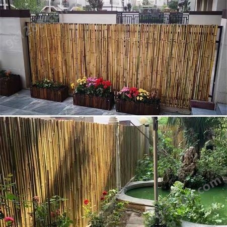 花园装饰竹篱笆 碳化庭院紫竹栏杆 工地竹栅栏