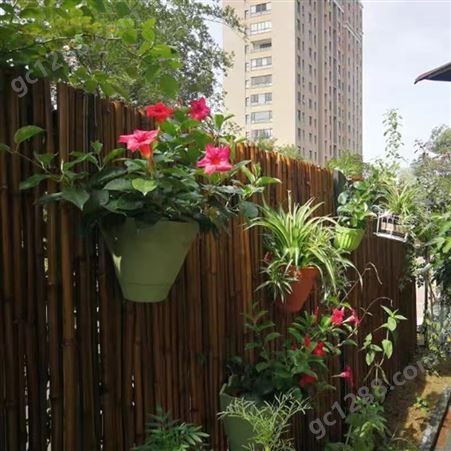 花园装饰竹篱笆 碳化庭院紫竹栏杆 工地竹栅栏